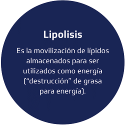 Body-Contouring-Spanish INDIBA-4 copia 3