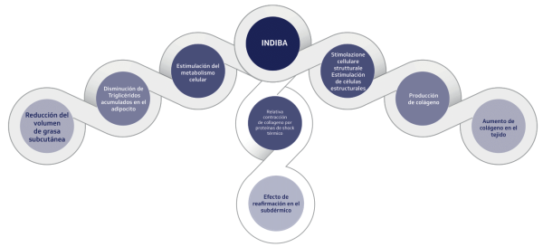 Body-Contouring-Spanish INDIBA-5